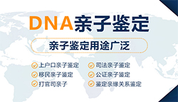 佳木斯孕期鉴定正规机构在哪做，佳木斯产前亲子鉴定结果会不会有问题