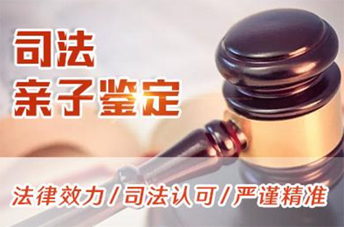 佳木斯司法DNA鉴定具体流程,佳木斯司法DNA鉴定费用多少钱一次